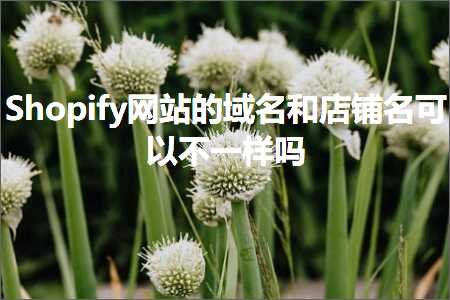 璺ㄥ鐢靛晢鐭ヨ瘑:Shopify缃戠珯鐨勫煙鍚嶅拰搴楅摵鍚嶅彲浠ヤ笉涓€鏍峰悧